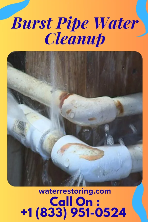 Burst Pipe Water Cleanup in Hamlet, NE
