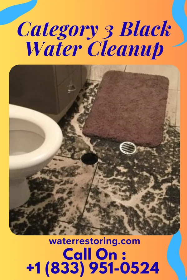 Category 3 Black Water Cleanup in Hamlet, NE
