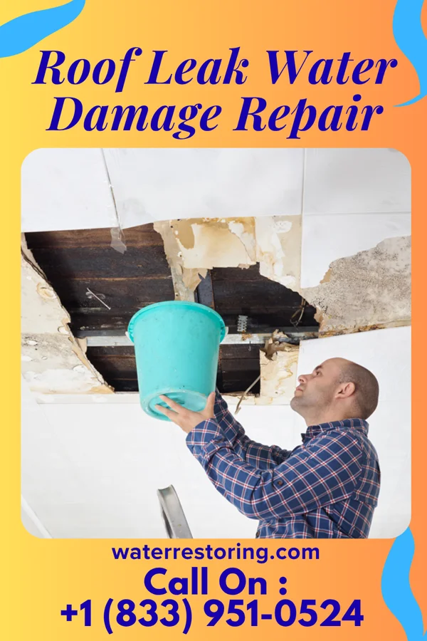 Roof Leak Water Damage Repair in Hamlet, NE